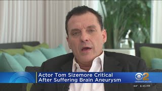 Actor Tom Sizemore in critical condition after suffering brain aneurysm Profile
