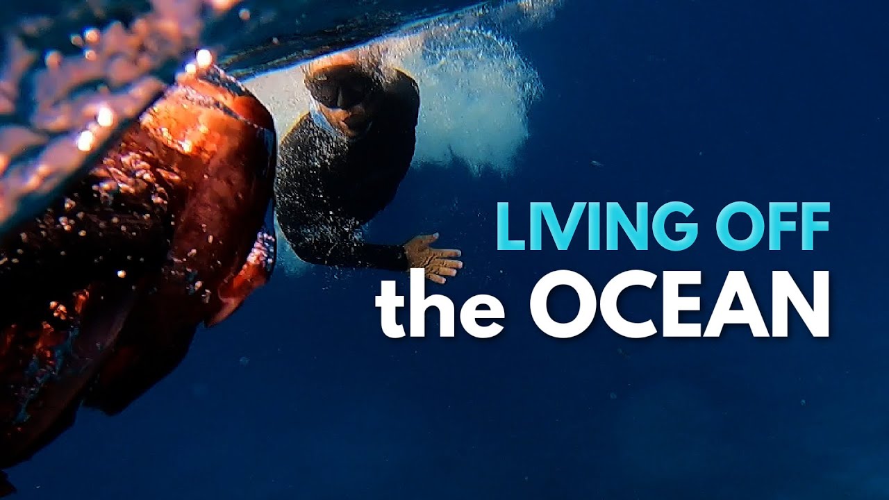 Spearfishing 101 – Learning to LIVE OFF THE OCEAN (Ep.158)
