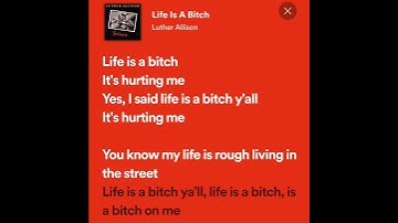 Thumbnail of Life is a Bitch - (Luther Allison) Lyrical Short