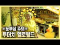 ⚠비타민 과다충전 주의⚠ 웰컴 투 더 투머치 옐로월드┃Here's the Too Much Yellow (TMY) Woman!