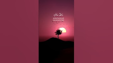 يُسَبِّحُ لَهُ مَن فِي السَّمَاوَاتِ وَالْأَرْضِ  - سورة النور آية 41 - عبدالباسط عبدالصمد