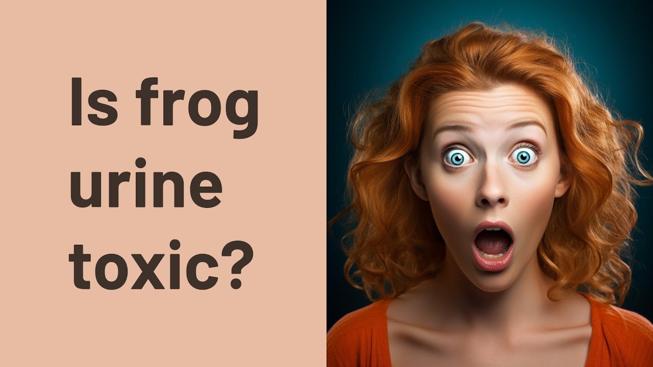 Is frog urine toxic? YouTube