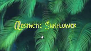 Aesthetic Soft Flower Compilation Aesthetic Videos