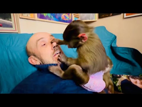 Степка просто не отходит от Влада, любимый папа должен быть САМЫМ КРАСИВЫМ)))