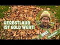 Mit dem rasenmher aus laub wertvollen mulch machen i james der grtner