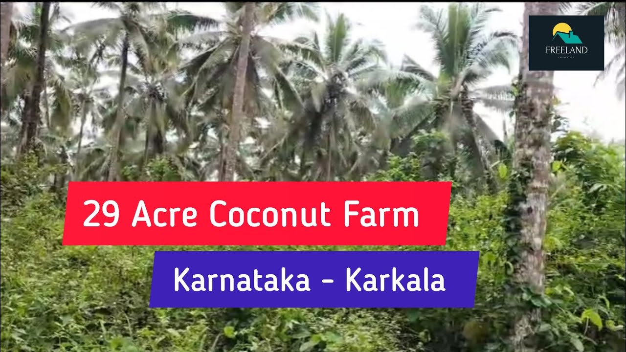 29 Acre Coconut Farm For Sale Karkala Karnataka (4.50 Cr) YouTube