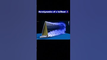 #sailboat #aerodynamics  🌬️ #sailing #scienceexplained 🌊
