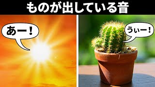 サボテンは叫んでいる他、あなたには聞こえていない音