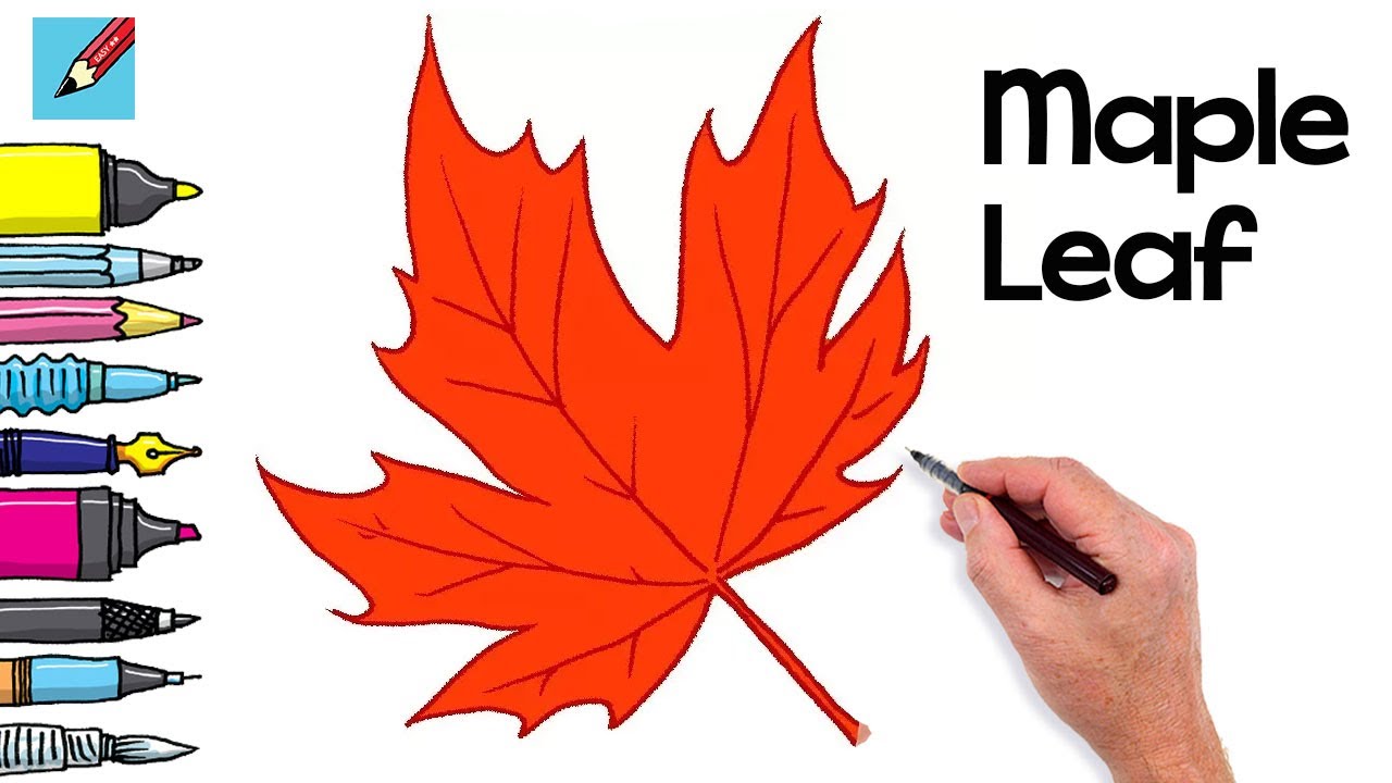 How to draw a Maple Leaf Real Easy for thanksgiving - Step by Step