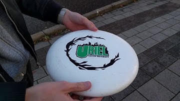 How does a Frisbee fly?