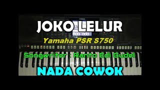 DIDI KEMPOT - JOKO LELUR (KARAOKE) By Saka