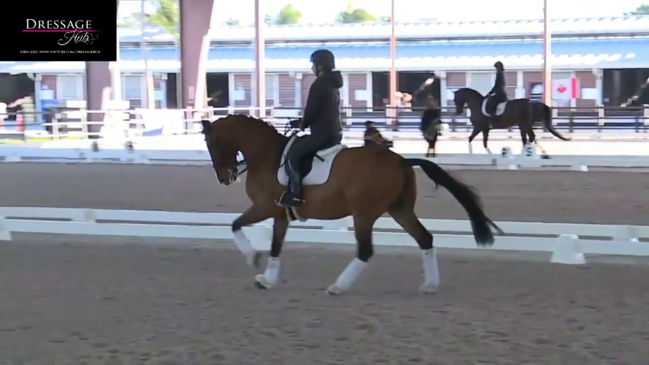 Роберт Довер: Что делать, если ваша лошадь напряжена