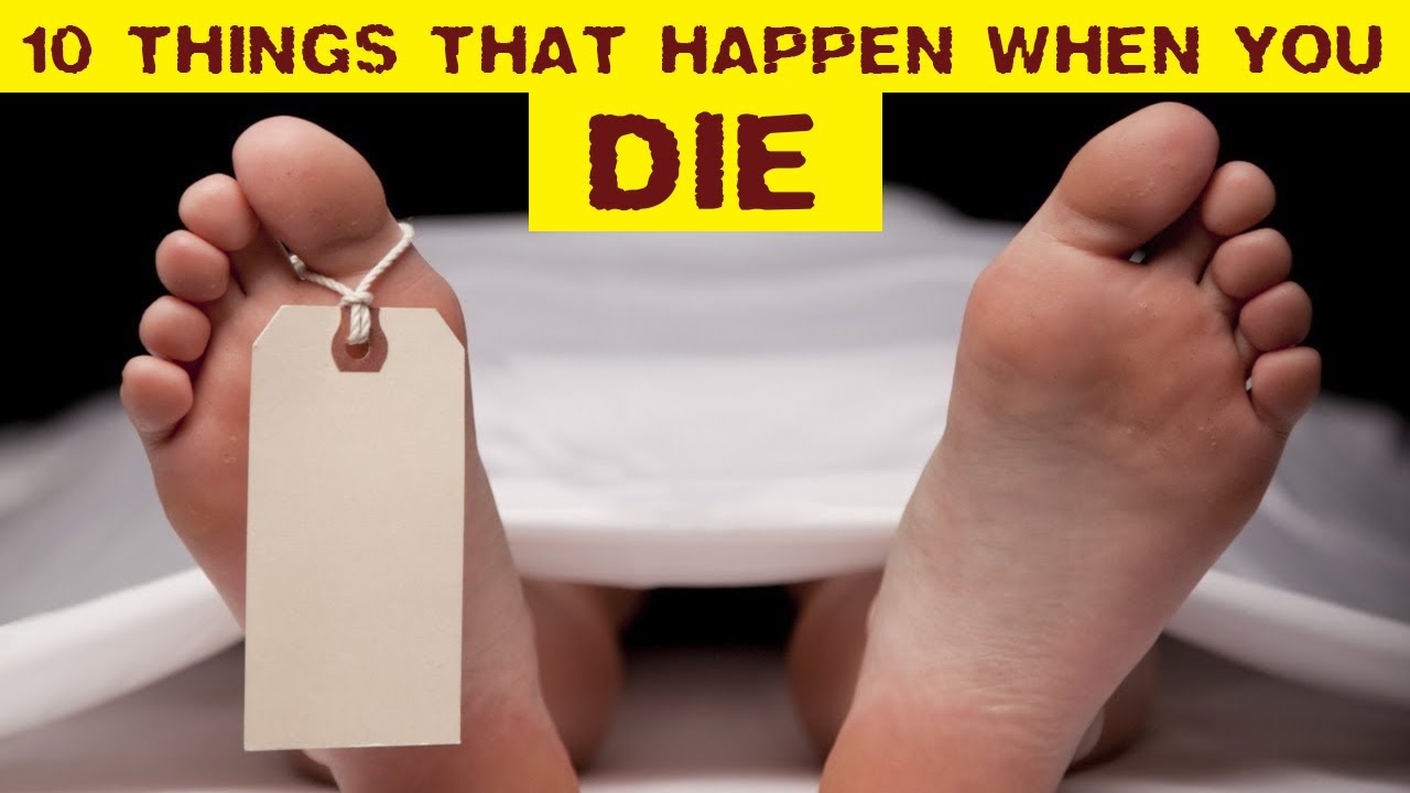 what happen when we die10 things happen when we die YouTube