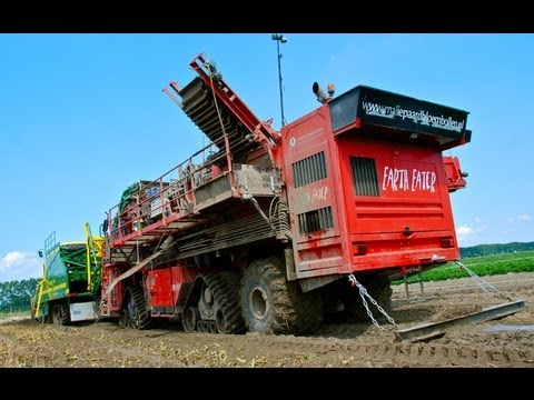 Ploeger AR-4W + EARTH EATER 1 Tulip Bulb Harvester / Tulpenbollen Rooien - Maliepaard Bloembollen