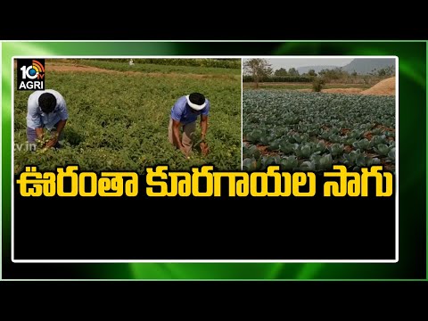 ఊరంతా కూరగాయల సాగు: Vempalle Villagers Vegetable Farming | Matti Manishi | 10TV News