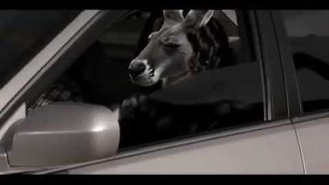 KANGAROO REVENGE MOVIE TRAILER *BANGAROO