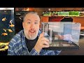 Tiny tanks big savings why small aquariums are the best choice for beginners