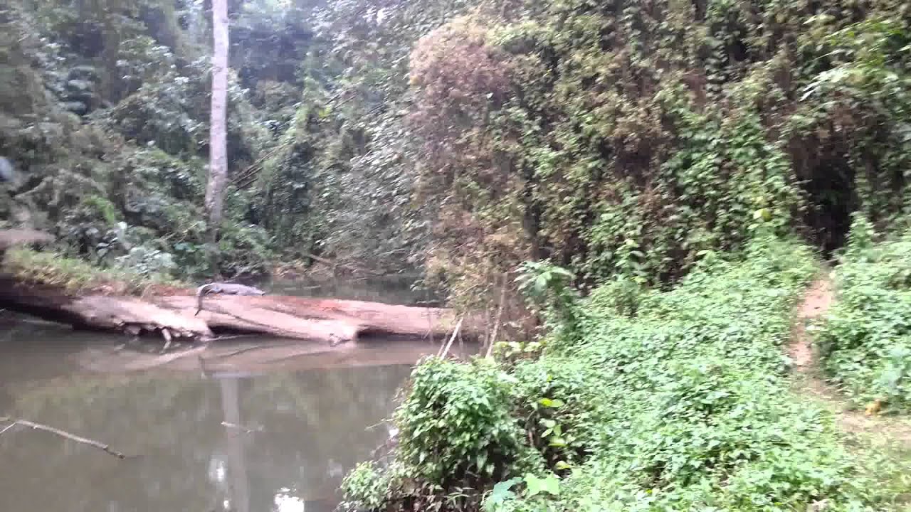 Jungletur i Khao Yai