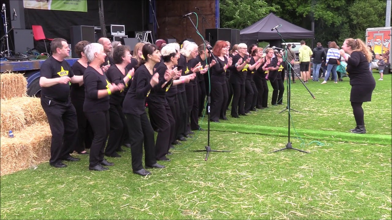 festival of lights Mulbarton Festival 2019 - Rock Choir 