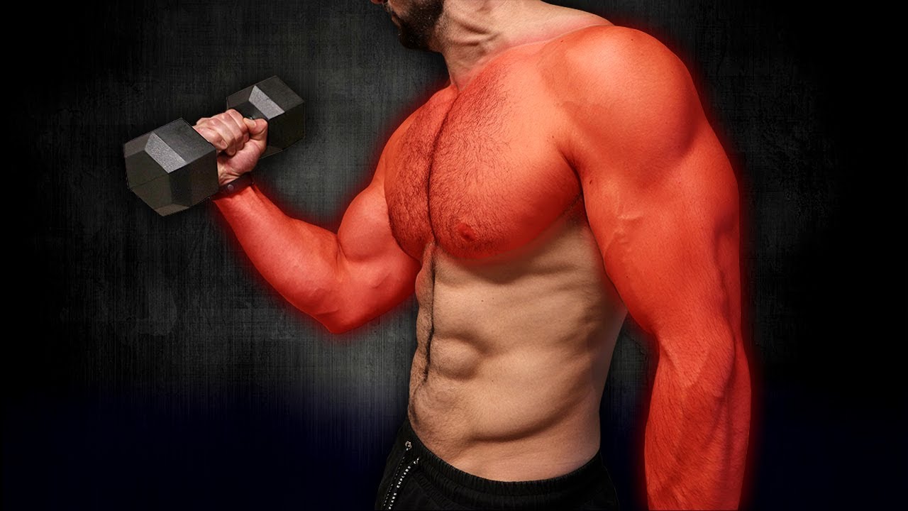 10min Home MUSCLE BUILDING Workout (DUMBBELLS ONLY!!) YouTube