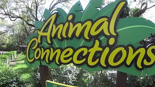 Busch Gardens/Flamingo Feeding.... The Travelling &quot;Not SO&quot; Toddler Adventures Episode:21