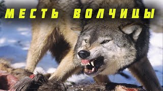 МЕСТЬ ВОЛЧИЦЫ! Случай в тайге!