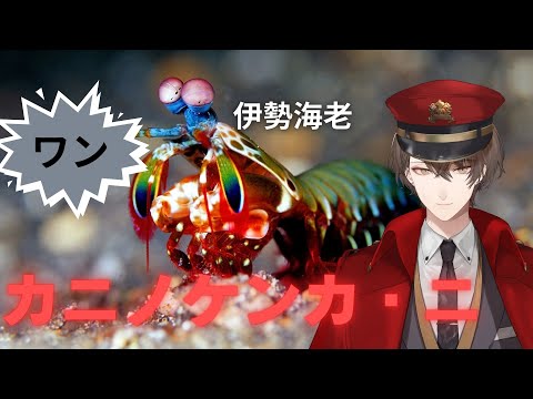 【カニノケンカ・ニ Fight Crab 2】　カ　ニ　ノ　ケ　ン　カ　・　ニ　【にじさんじ/加賀美ハヤト】