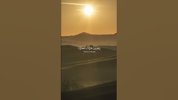 عبدالرحمن مسعد - سورة يونس | ويعبدون من دون الله ما لا يضرهم و لا ينفعهم #قران #tilawet #تلاوة_خاشعة