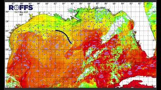 Gulf of Mexico (America) Ocean Conditions Update - 5/13/2025