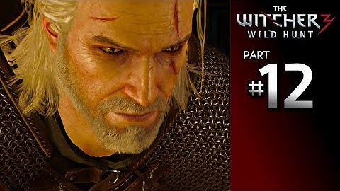 The Witcher 3 Wild Hunt Walkthrough Part 12 · Main Quest: The Nilfgaardian Connection