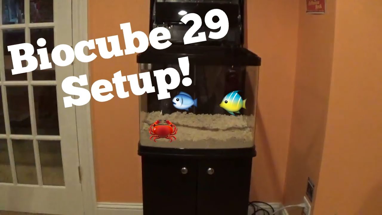 Biocube 29: Setup! (Week 1) - YouTube