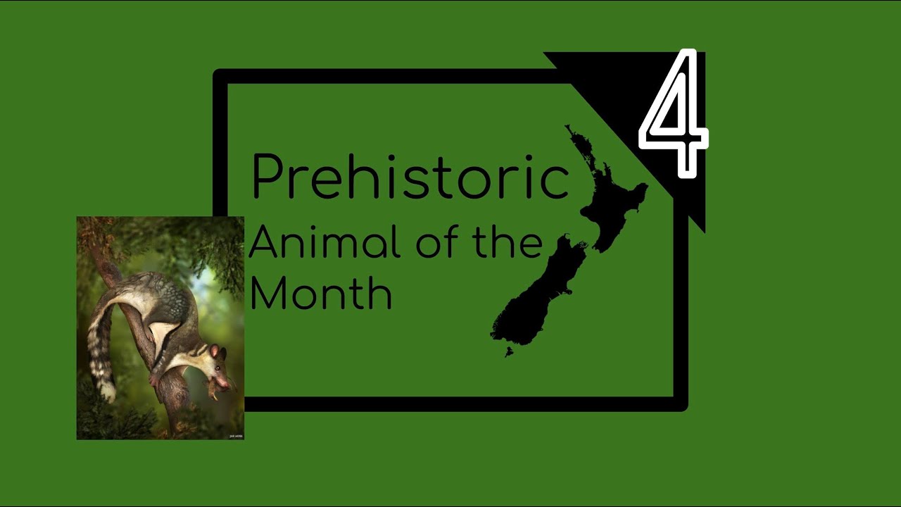 Prehistoric New Zealand Prehistoric Animal of the Month Episode 4 St