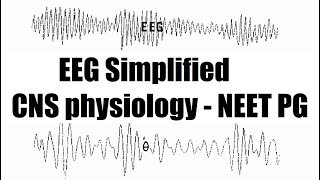 EEG - Electroencephalography (with charts ) - CNS physiology