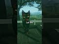 #wcueedit #warriorcats #wcuefyp