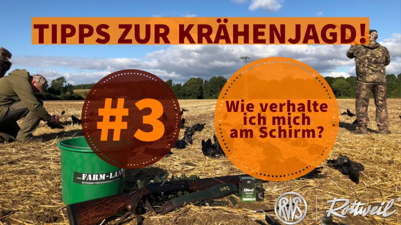 3 // Wie verhalte ich mich am Schirm? - YouTube