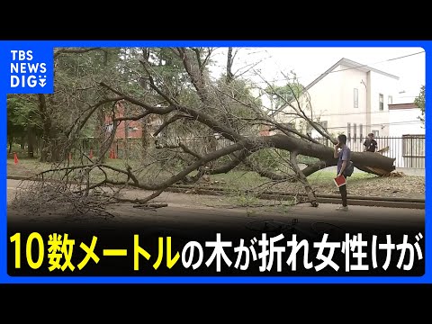 倒木 全面解除】倒木でふさがれた国道206号、午後7時に規制解除 長崎市ー