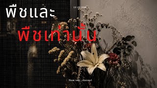 เกรดมางานไป remix : คุณและคุณเท่านั้น-แกงส้ม ธนทัต #ว32243#เจ๊แบมสั่งมาผมพร้อมทำงาน#BS69