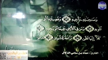 جديد المجد || تحبير هادئ لسورة / المعارج || القارئ : معاذ بن سامي الدلال || من مختارات المجد HD