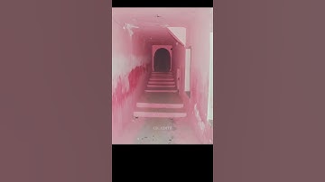 Did you know? |Brother home 1986 |The squid game [Read the Description] #squidgame