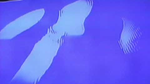 Evan Wright - Turn The Other Way (Official Video)