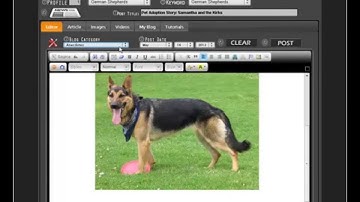 Instant Content Curator Pro - Preview Video
