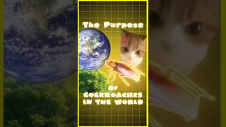 The purpose of cockroaches in the world 🌎🪳