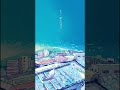 Set Free -「blue」shorts公開! #setfree #邦楽ロック