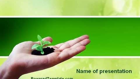 Sprout PowerPoint Template by PoweredTemplate.com