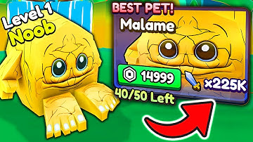 Starting Over as NOOB with EVERY NEW OP PET!