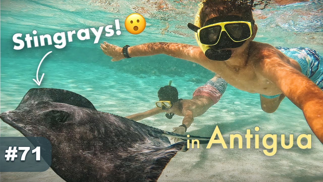 ⁣First time in Antigua. We got to swim with stingrays!!