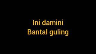 ini damini bantal guling