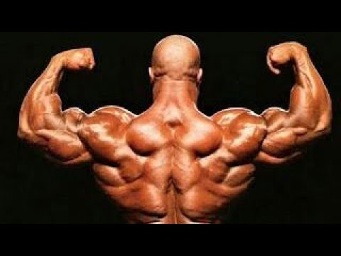 Phil heath latest posing routine | phil heath mr. Olympia  posing routine Phil heath latest posing routine | phil heath mr. Olympia  posing routine