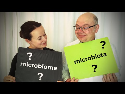 Vídeo: Microbiota: Decoració Del Lloc