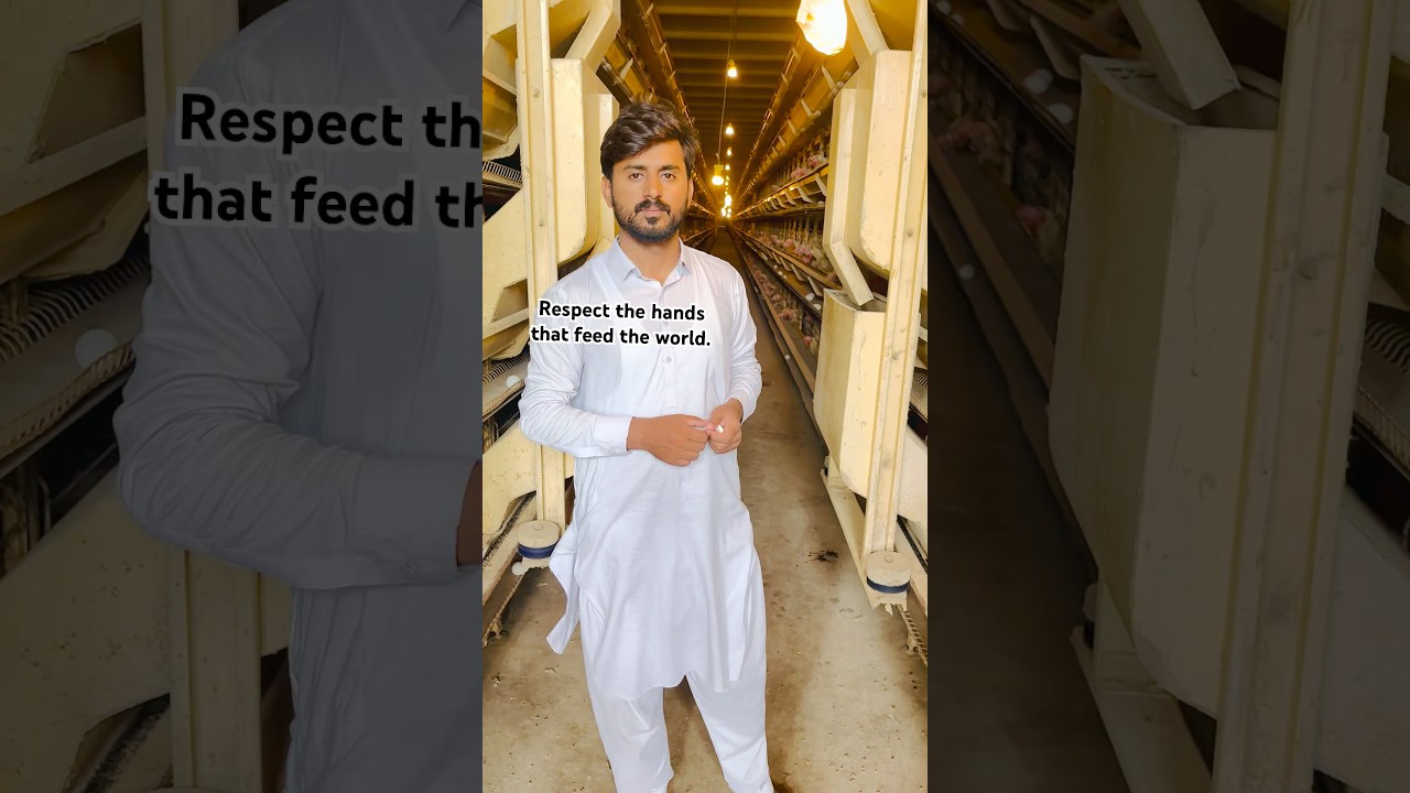 Behind every egg is a hardworking soul 🥚 